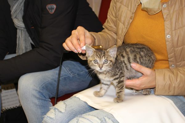 Dorli ist zu Beginn der Behandlung eher ängstlich