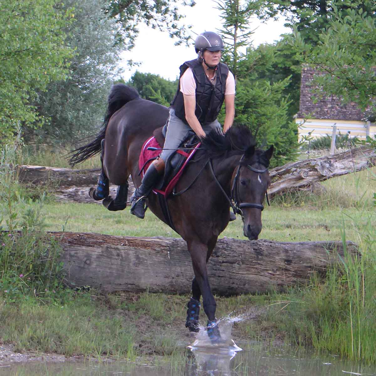Ruth Bass nimmt mit ihrem Pferd eine Hürde in der Natur